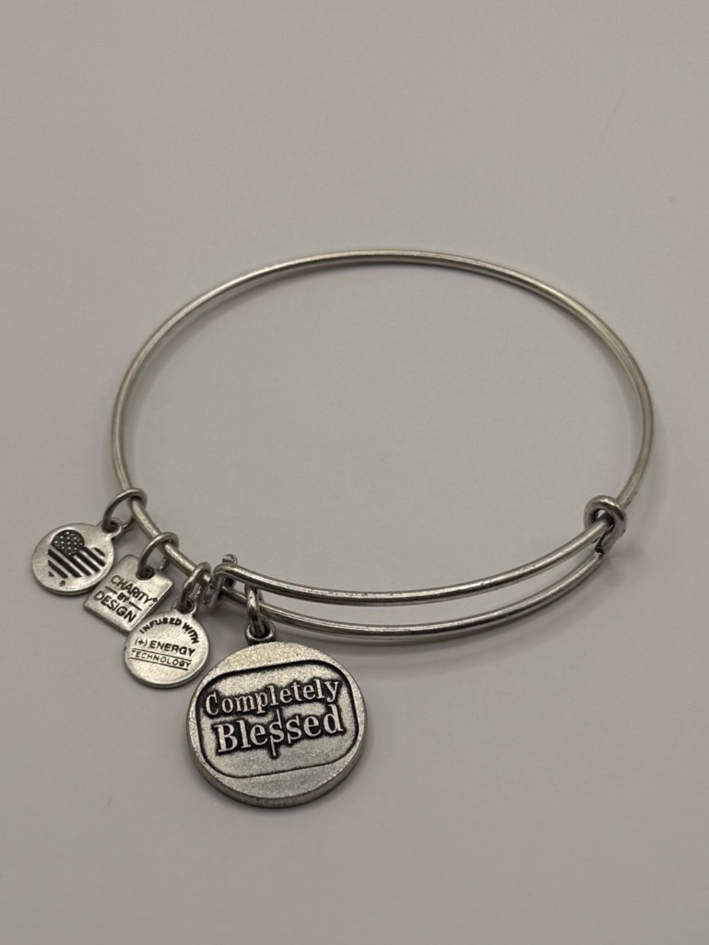 Alex and Ani Completely Blessed Charm Bangle Bracelet